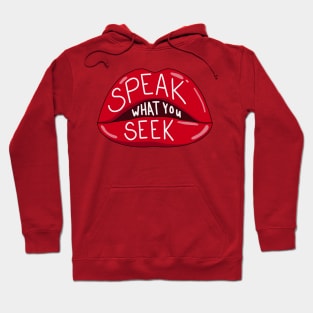 Speak what you seek Hoodie